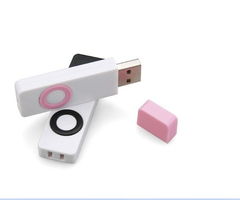 rjplastic USB閃存盤 15元高性價比電子產品的研發與銷售策略